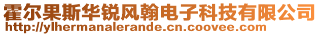 霍爾果斯華銳風翰電子科技有限公司