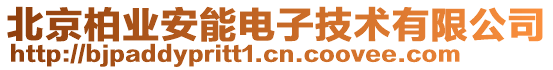 北京柏業(yè)安能電子技術(shù)有限公司