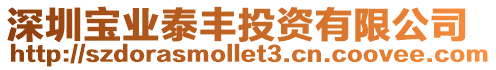 深圳寶業(yè)泰豐投資有限公司