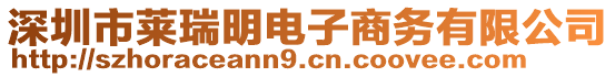 深圳市萊瑞明電子商務(wù)有限公司