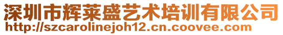 深圳市輝萊盛藝術(shù)培訓(xùn)有限公司
