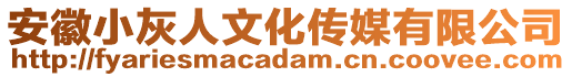 安徽小灰人文化傳媒有限公司