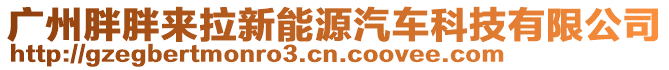 廣州胖胖來拉新能源汽車科技有限公司