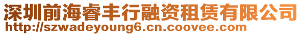 深圳前海睿豐行融資租賃有限公司