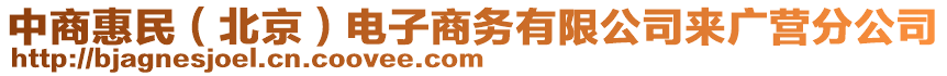 中商惠民（北京）電子商務有限公司來廣營分公司