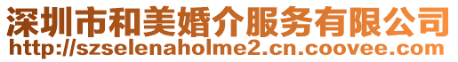 深圳市和美婚介服務有限公司