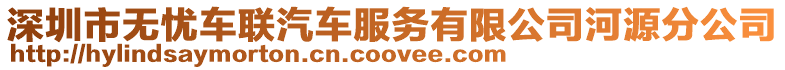 深圳市無憂車聯汽車服務有限公司河源分公司