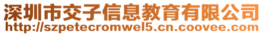 深圳市交子信息教育有限公司