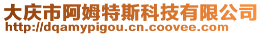 大慶市阿姆特斯科技有限公司