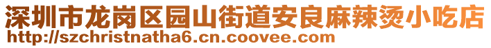 深圳市龍崗區園山街道安良麻辣燙小吃店