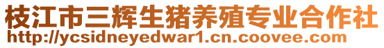 枝江市三輝生豬養(yǎng)殖專業(yè)合作社