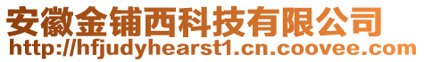 安徽金鋪西科技有限公司