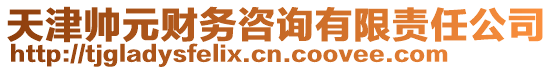 天津帥元財(cái)務(wù)咨詢有限責(zé)任公司