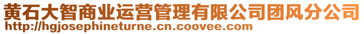 黃石大智商業(yè)運(yùn)營(yíng)管理有限公司團(tuán)風(fēng)分公司