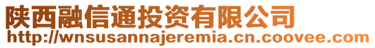 陕西融信通投资有限公司