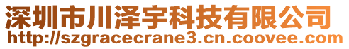 深圳市川澤宇科技有限公司