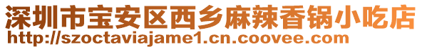 深圳市寶安區(qū)西鄉(xiāng)麻辣香鍋小吃店