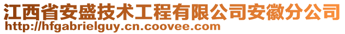 江西省安盛技術工程有限公司安徽分公司