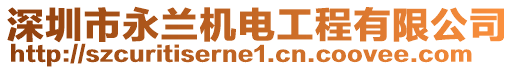 深圳市永蘭機(jī)電工程有限公司