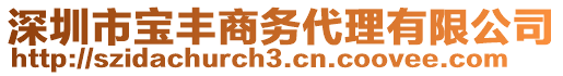 深圳市寶豐商務(wù)代理有限公司