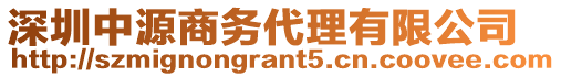 深圳中源商務(wù)代理有限公司