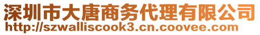 深圳市大唐商務(wù)代理有限公司