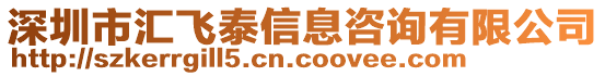 深圳市匯飛泰信息咨詢有限公司