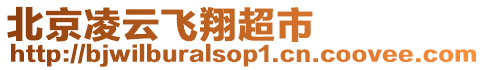 北京凌云飛翔超市