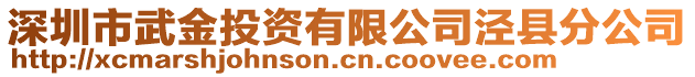 深圳市武金投資有限公司涇縣分公司