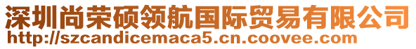 深圳尚榮碩領(lǐng)航國(guó)際貿(mào)易有限公司