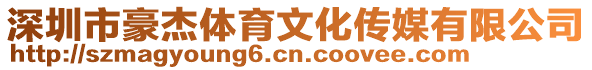 深圳市豪杰體育文化傳媒有限公司