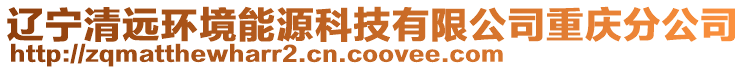 遼寧清遠環(huán)境能源科技有限公司重慶分公司