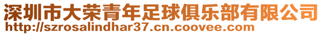 深圳市大榮青年足球俱樂部有限公司