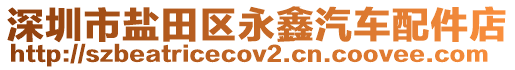 深圳市鹽田區(qū)永鑫汽車配件店