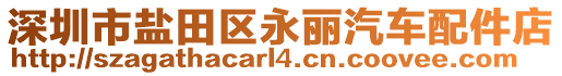 深圳市鹽田區(qū)永麗汽車配件店