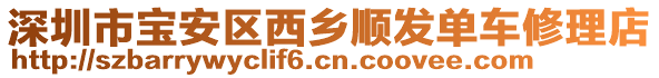 深圳市寶安區(qū)西鄉(xiāng)順發(fā)單車修理店