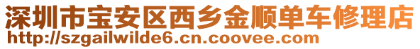 深圳市寶安區(qū)西鄉(xiāng)金順單車修理店