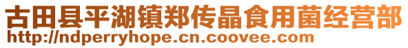 古田縣平湖鎮(zhèn)鄭傳晶食用菌經(jīng)營部