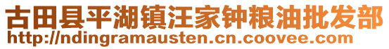 古田縣平湖鎮(zhèn)汪家鐘糧油批發(fā)部