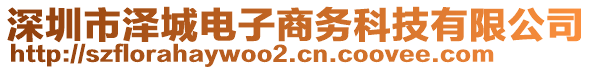 深圳市澤城電子商務(wù)科技有限公司