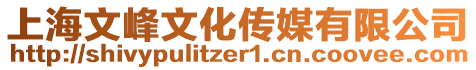 上海文峰文化傳媒有限公司