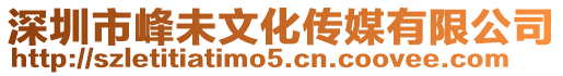 深圳市峰未文化傳媒有限公司