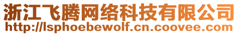 浙江飛騰網(wǎng)絡(luò)科技有限公司