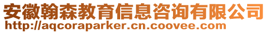 安徽翰森教育信息咨詢有限公司