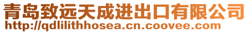 青島致遠天成進出口有限公司