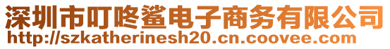 深圳市叮咚鯊電子商務(wù)有限公司