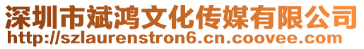 深圳市斌鴻文化傳媒有限公司