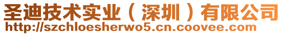 圣迪技術(shù)實業(yè)（深圳）有限公司