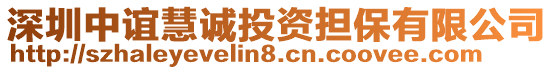 深圳中誼慧誠投資擔保有限公司