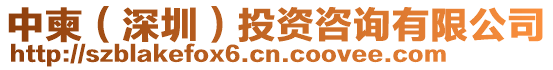 中柬(深圳)投資咨詢有限公司